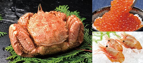 グルメカタログ「北海道七つ星ギフト＆九州七つ星ギフト」