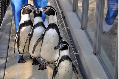 新潟市水族館マリンピア日本海