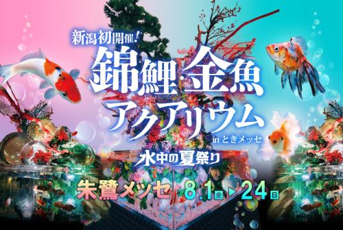錦鯉・金魚アクアリウム in ときメッセ